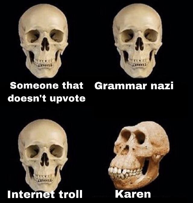 Karen Memes (32 pics)