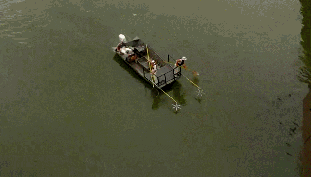 Acid Gifdump, October 24 (25 gifs)