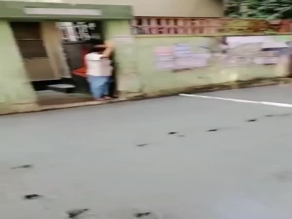 Who Let The Dog Out?