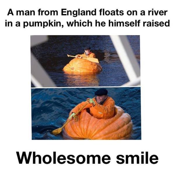 Wholesome Memes (40 pics)