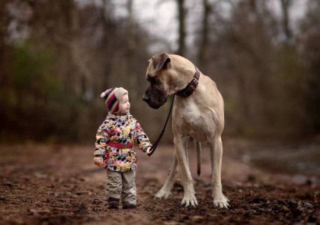 Pictures Full Of Great Feelings (49 pics)