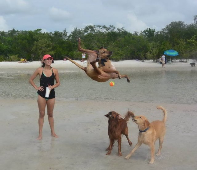 In The Right Place At The Right Time (47 pics)