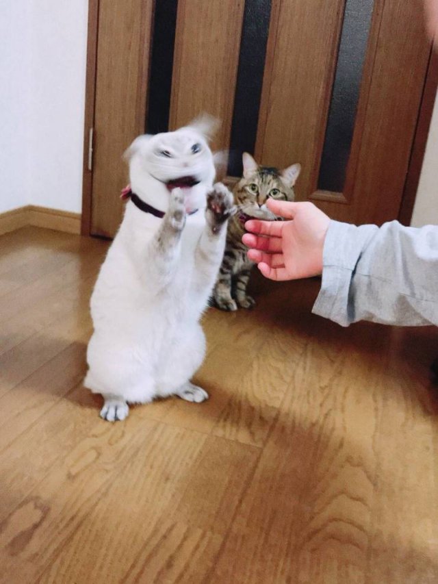In The Right Place At The Right Time (47 pics)