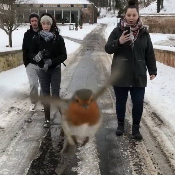 In The Right Place At The Right Time (47 pics)