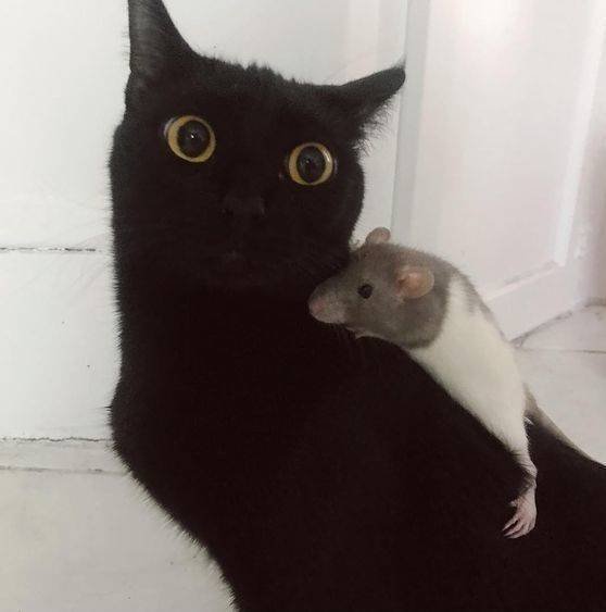 Acid Picdump. Part 1 (125 pics) Acid Picdump. Part 1 (125 pics)