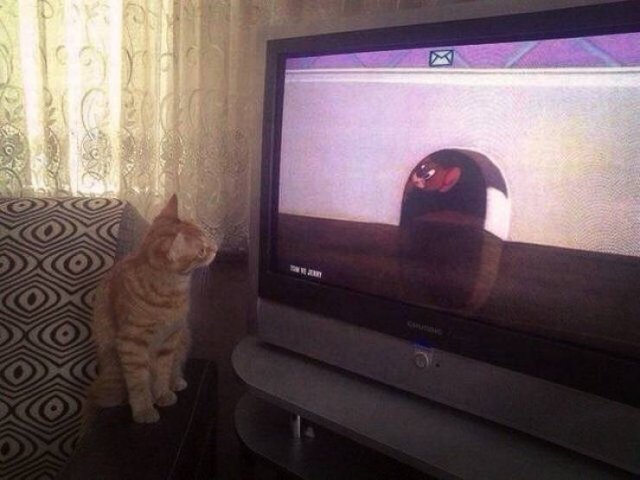 Acid Picdump. Part 1 (125 pics) Acid Picdump. Part 1 (125 pics)