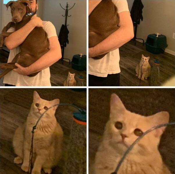 Acid Picdump. Part 1 (125 pics)
