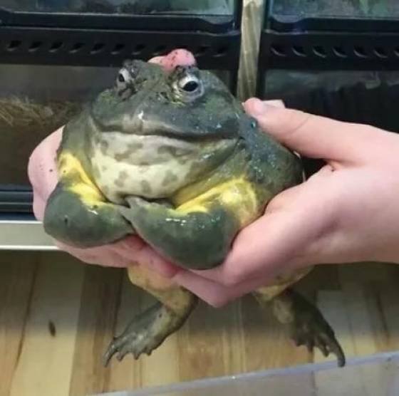 Acid Picdump. Part 1 (125 pics) Acid Picdump. Part 1 (125 pics)