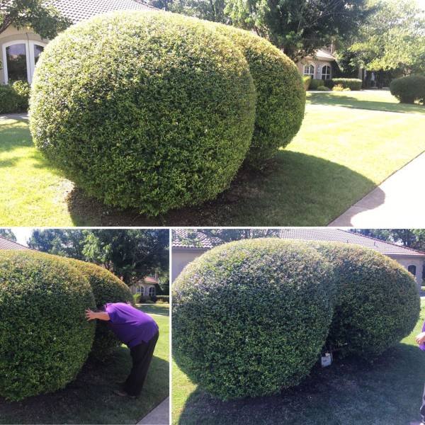 Acid Picdump. Part 1 (125 pics) Acid Picdump. Part 1 (125 pics)