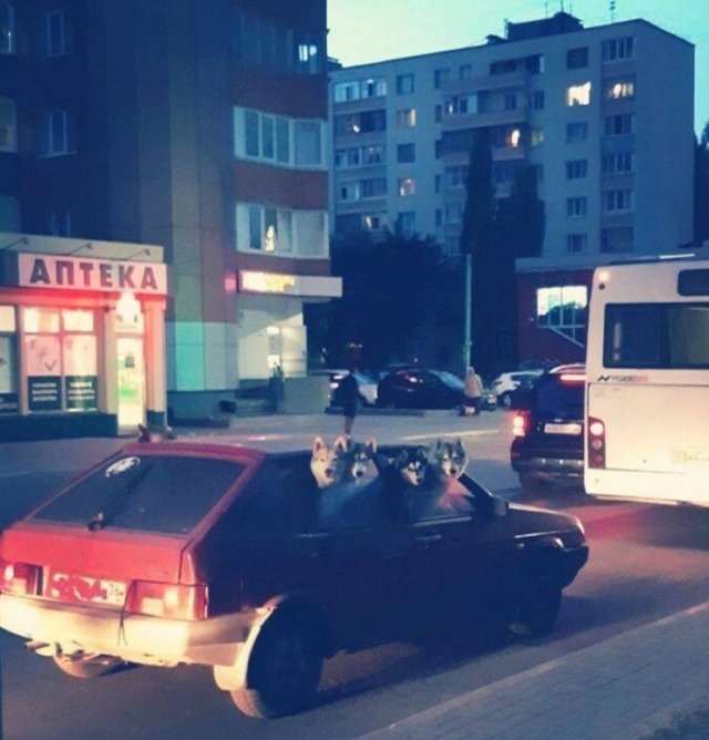Acid Picdump. Part 1 (125 pics)