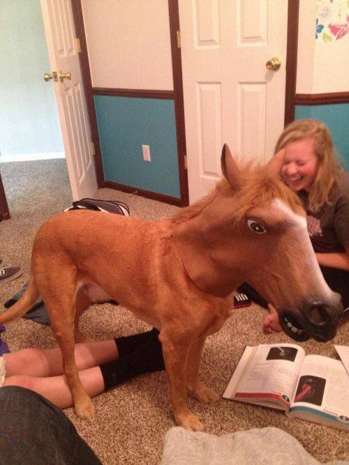 Acid Picdump. Part 1 (125 pics)