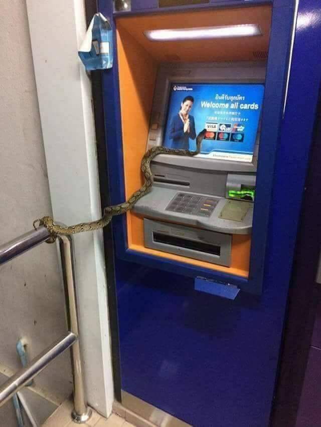 Acid Picdump. Part 1 (125 pics) Acid Picdump. Part 1 (125 pics)
