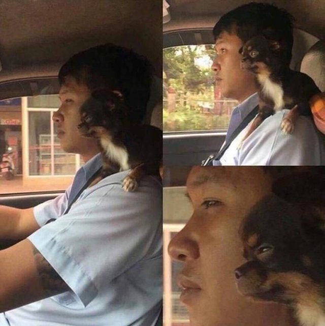 Acid Picdump. Part 1 (125 pics)