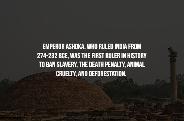 Interesting Historical Facts (17 pics)