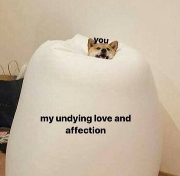 Flirty Memes (30 pics)