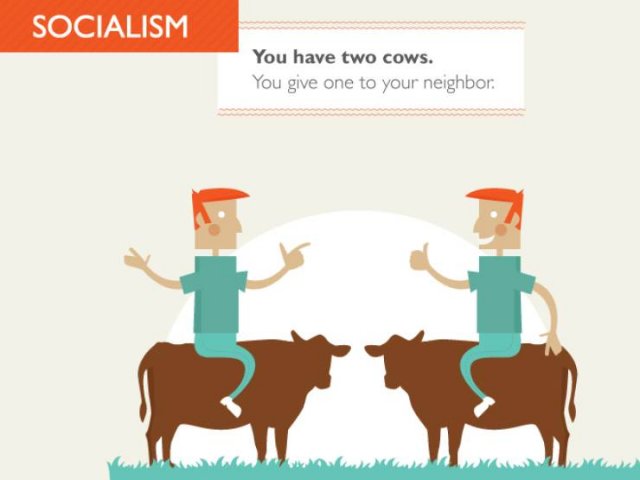Two Cows Explain Economics (17 pics)