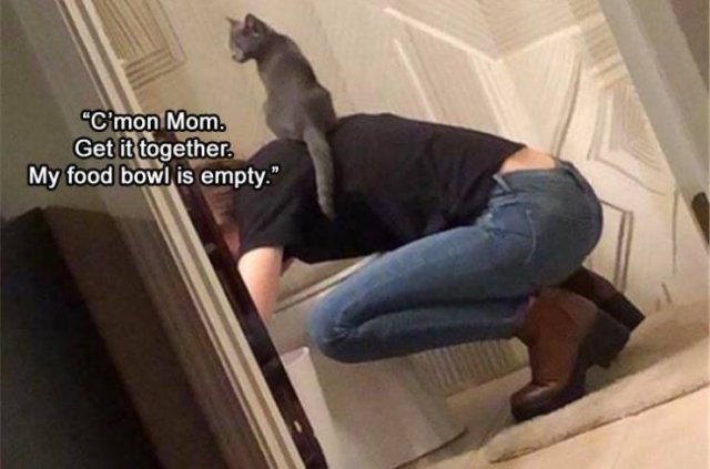 Acid Picdump. Part 2 (71 pics)