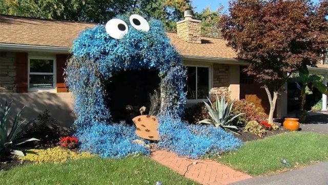 Acid Picdump. Part 1 (75 pics)