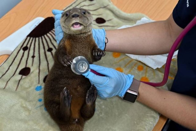 Acid Picdump. Part 1 (75 pics)
