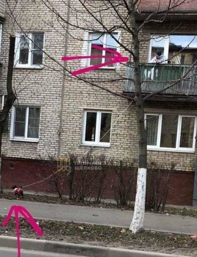 Acid Picdump. Part 2 (71 pics)