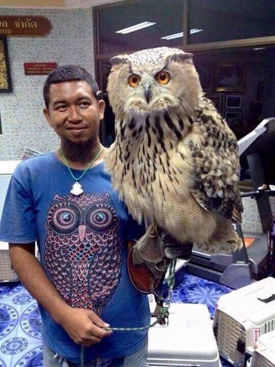 Acid Picdump. Part 1 (75 pics)