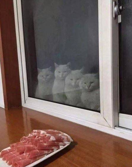 Acid Picdump. Part 1 (75 pics)