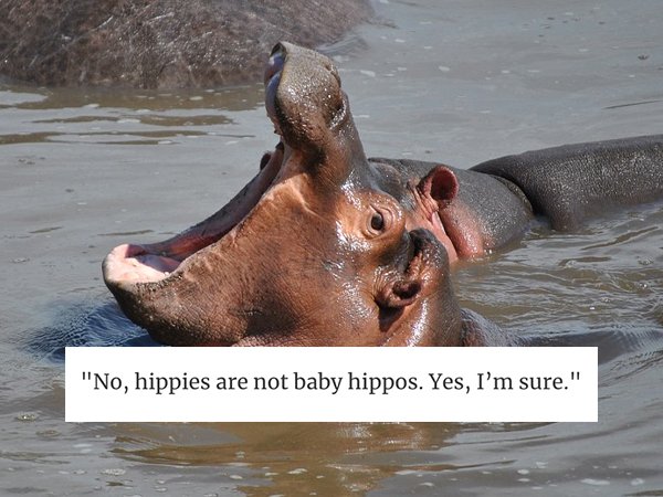 Crazy Things Parents Say (30 pics)