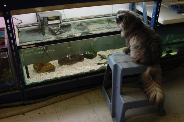 Acid Picdump. Part 1 (95 pics)