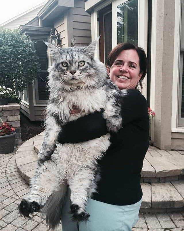 Acid Picdump. Part 1 (95 pics)