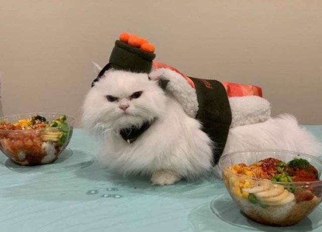 Acid Picdump. Part 1 (95 pics) Acid Picdump. Part 1 (95 pics)
