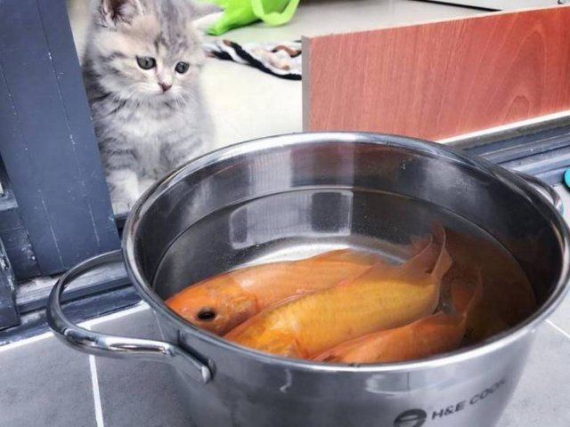 Acid Picdump. Part 1 (95 pics) Acid Picdump. Part 1 (95 pics)