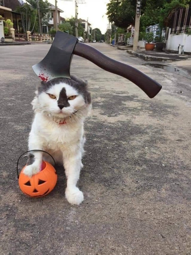 Acid Picdump. Part 1 (95 pics) Acid Picdump. Part 1 (95 pics)