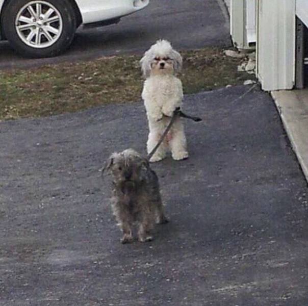 Acid Picdump. Part 1 (95 pics)