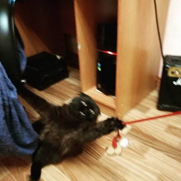 Acid Picdump. Part 1 (95 pics)