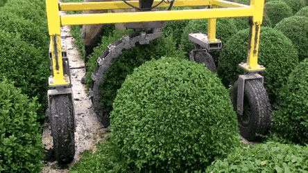 Acid Gifdump, October 29 (25 gifs)