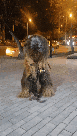 Acid Gifdump, October 29 (25 gifs)