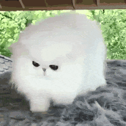 Acid Gifdump, October 29 (25 gifs)