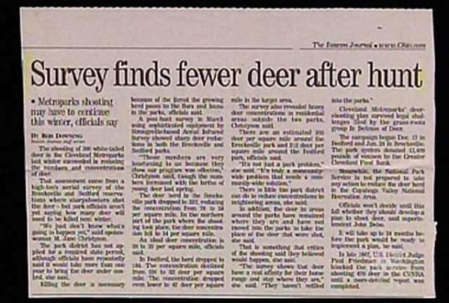 Funny Newspaper Headlines (40 pics)