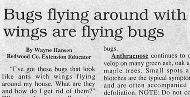 Funny Newspaper Headlines (40 pics)