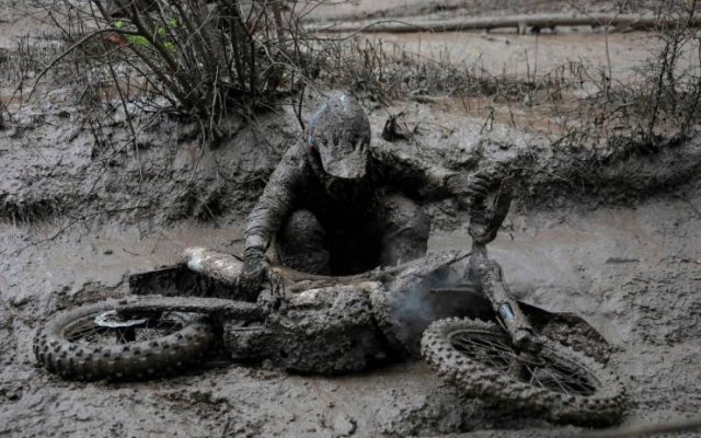 Bad Day (37 pics)