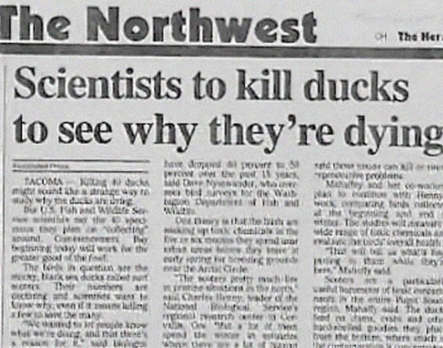 Funny Newspaper Headlines (40 pics)