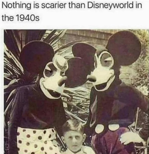 Disneyworld Memes (30 pics)
