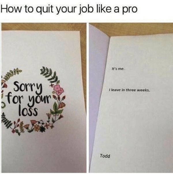 Quit Job Memes 35 Pics