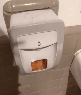 WTF Pictures (44 pics)