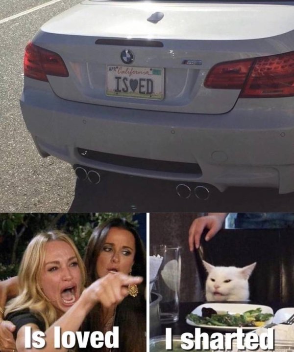 WTF Pictures (44 pics)