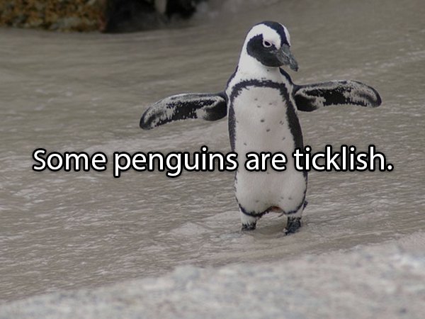 Interesting Facts About Animals (25 pics)