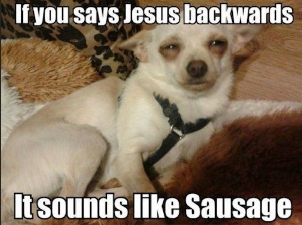 WTF Pictures (44 pics)