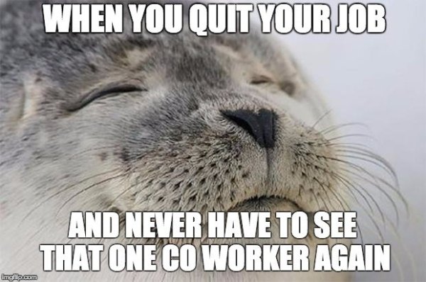 Quit Job Memes (35 pics)