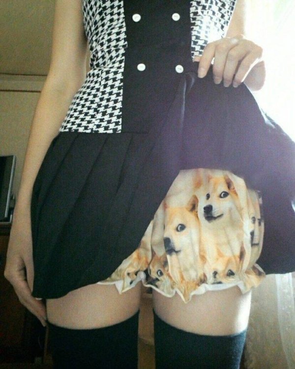 WTF Pictures (44 pics)