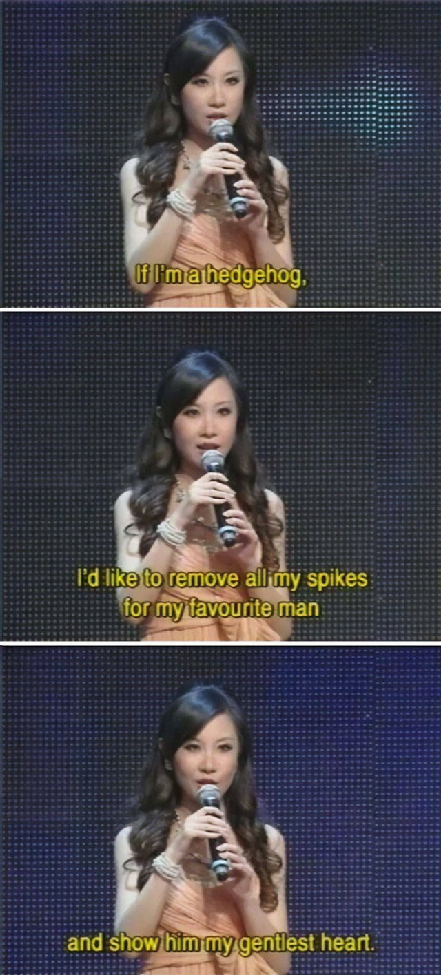 Chinese Dating Shows (36 pics)